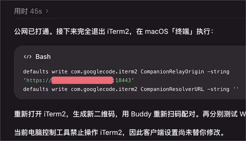 为 iTerm2 Buddy 自托管中继服务器，加速手机连接 Mac 终端速度 4