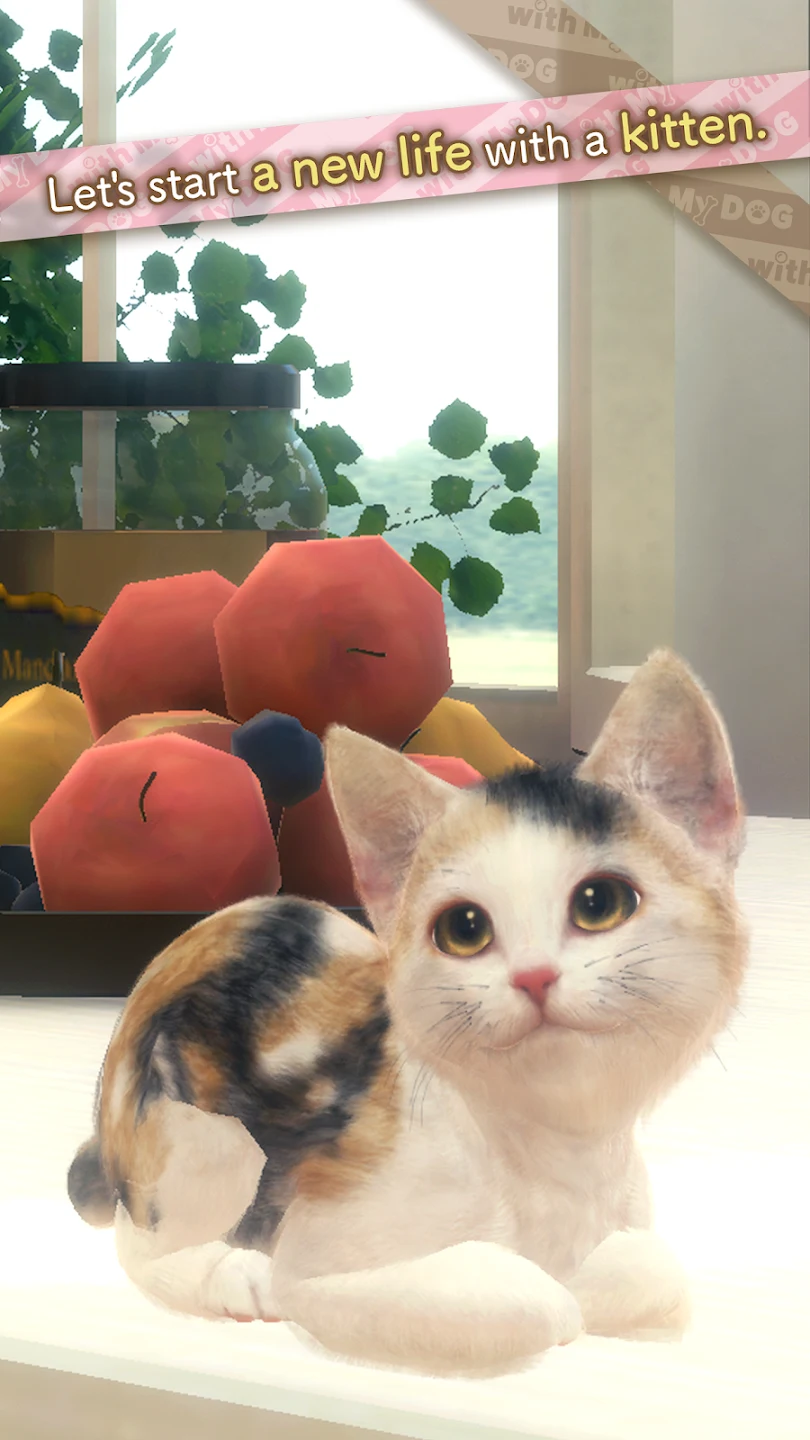with My CAT 截图 1