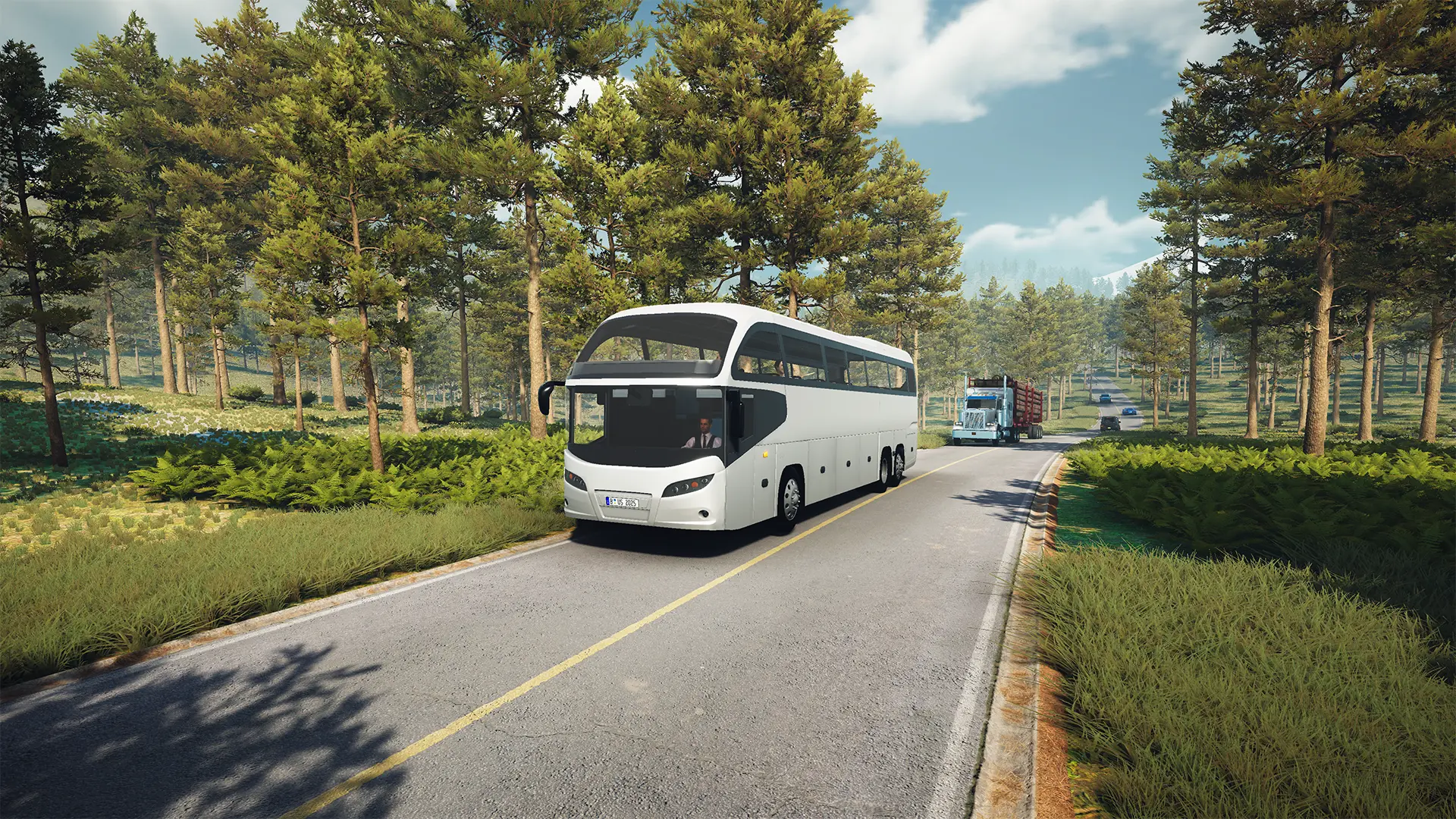 Bus Simulator : EVO 截图 6