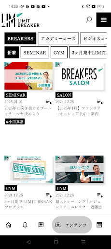 LIMIT BREAKER 截图 4