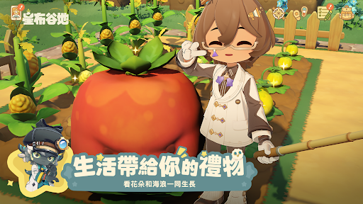 星布谷地 截图 5