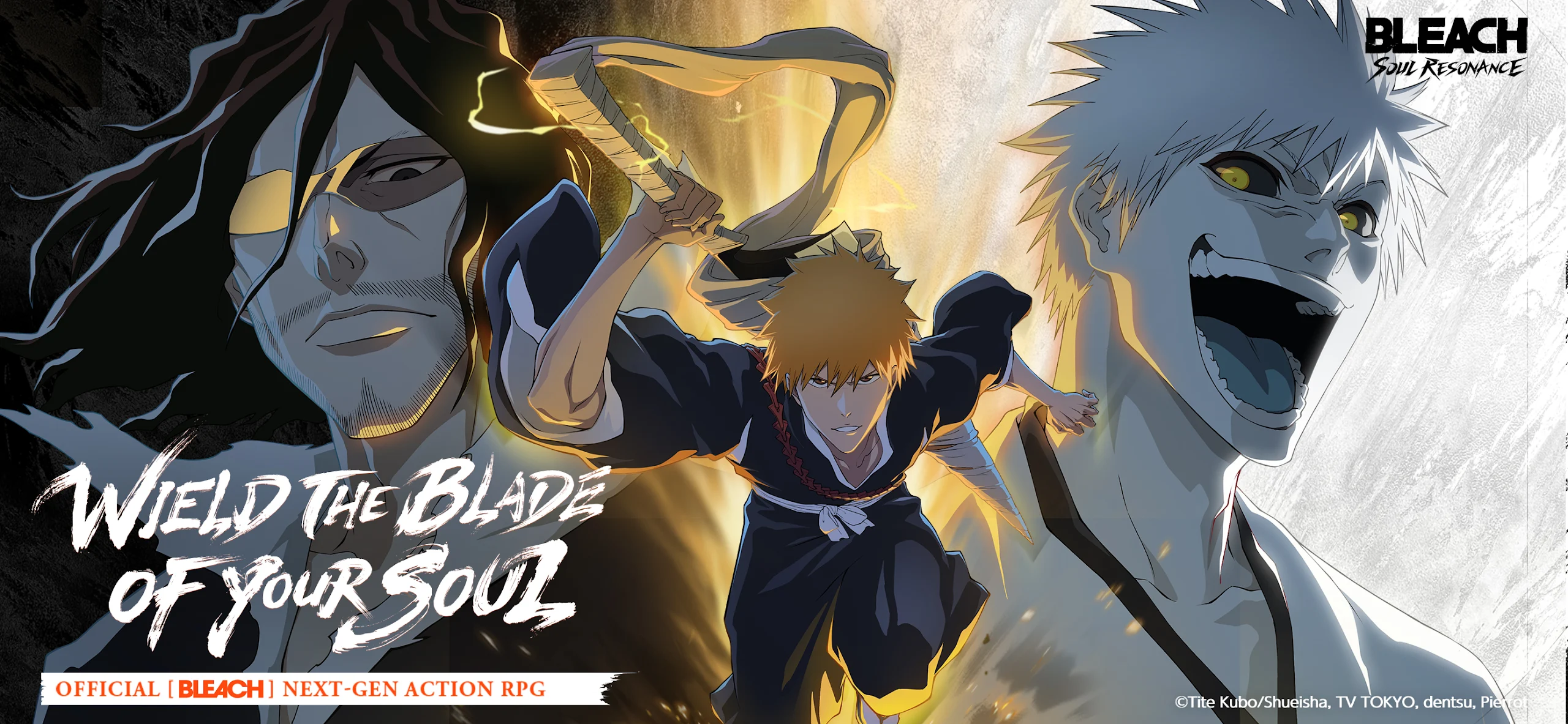 BLEACH: Soul Resonance 截图 3
