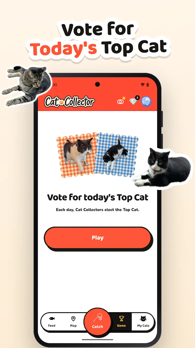 Cat Collector: Catch Real Cats 截图 5
