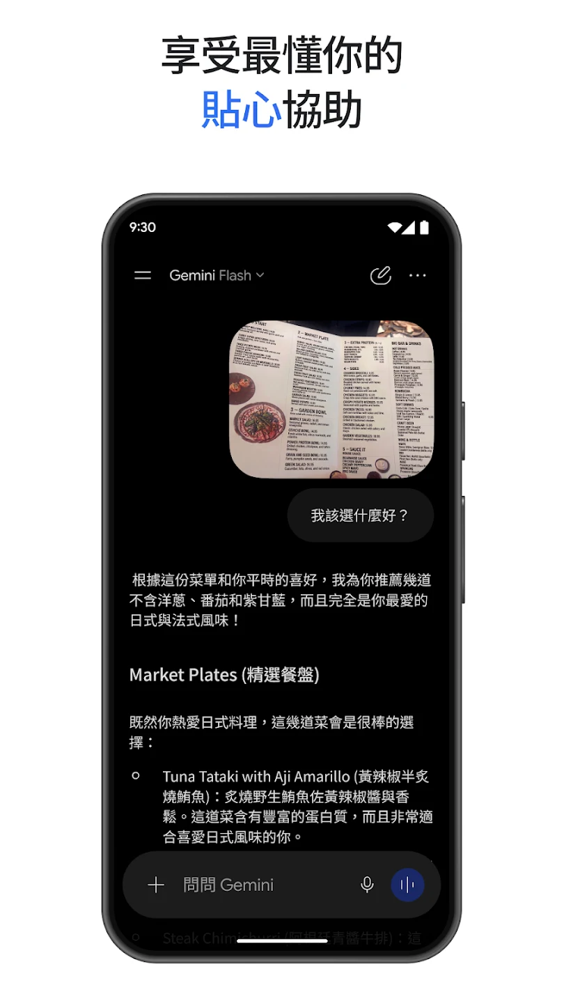 Google Gemini 截图 8