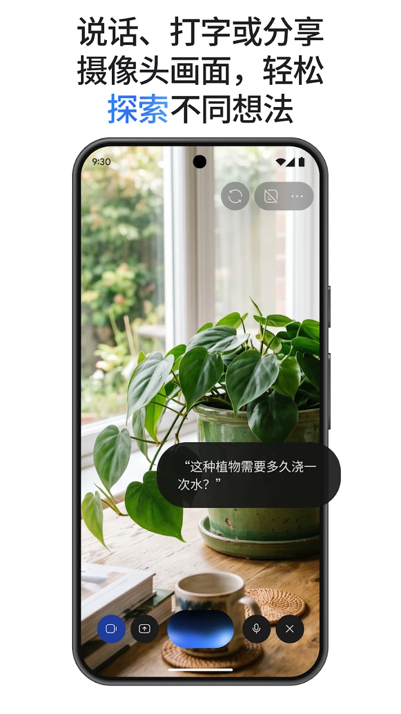 Google Gemini 截图 10