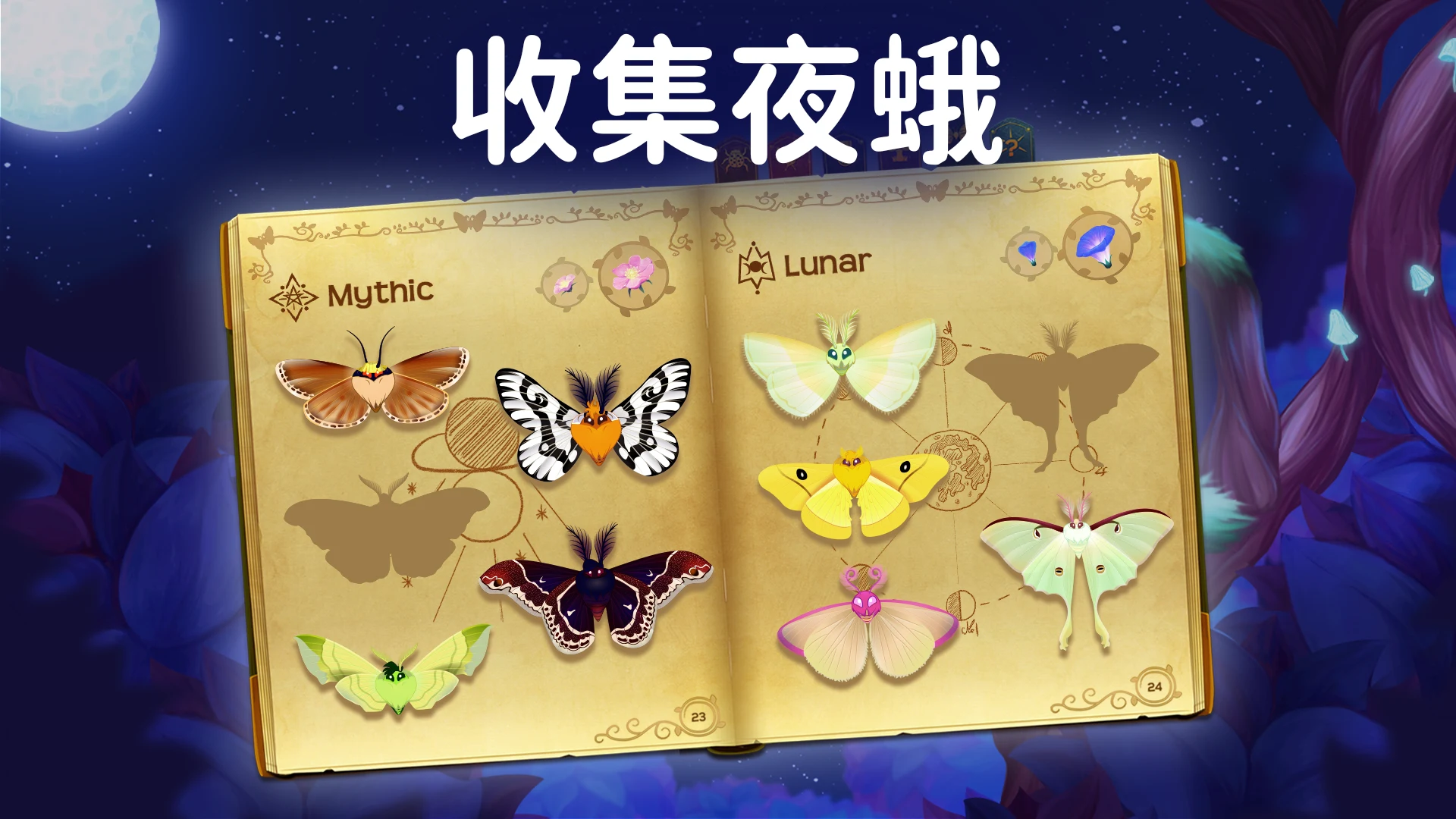 Flutter: Starlight 截图 2