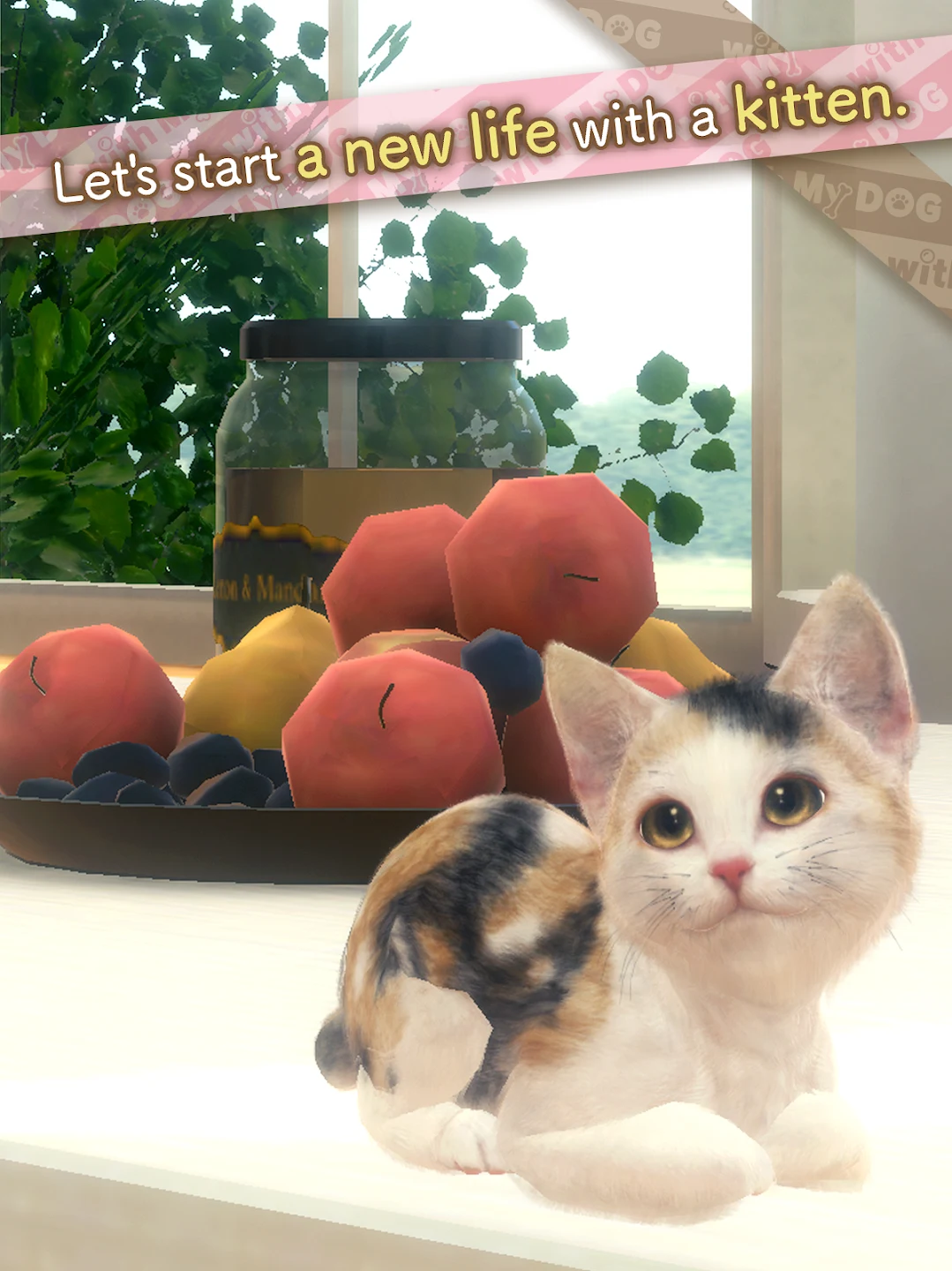 with My CAT 截图 9