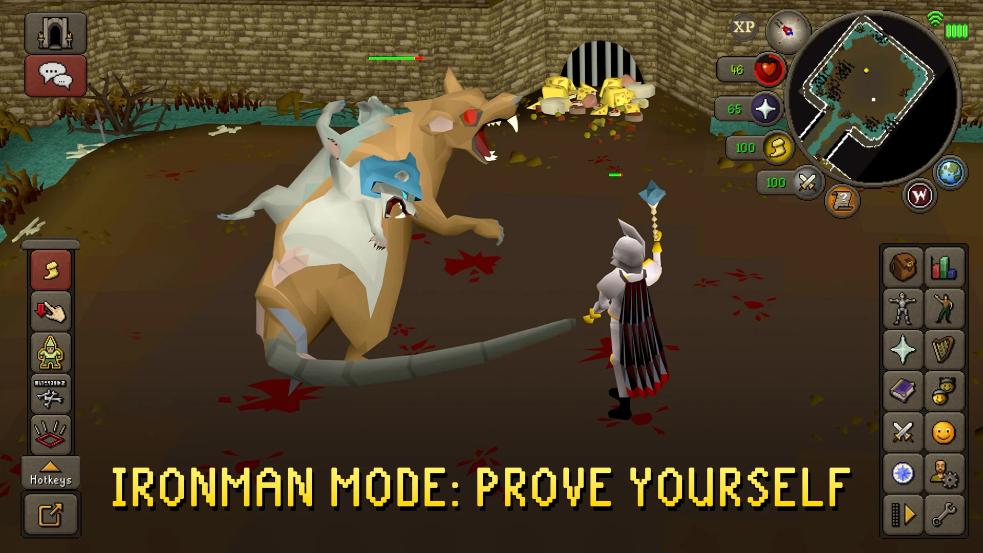 Old School RuneScape 截图 5