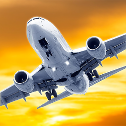 Flight Simulator 2013 FlyWings 图标