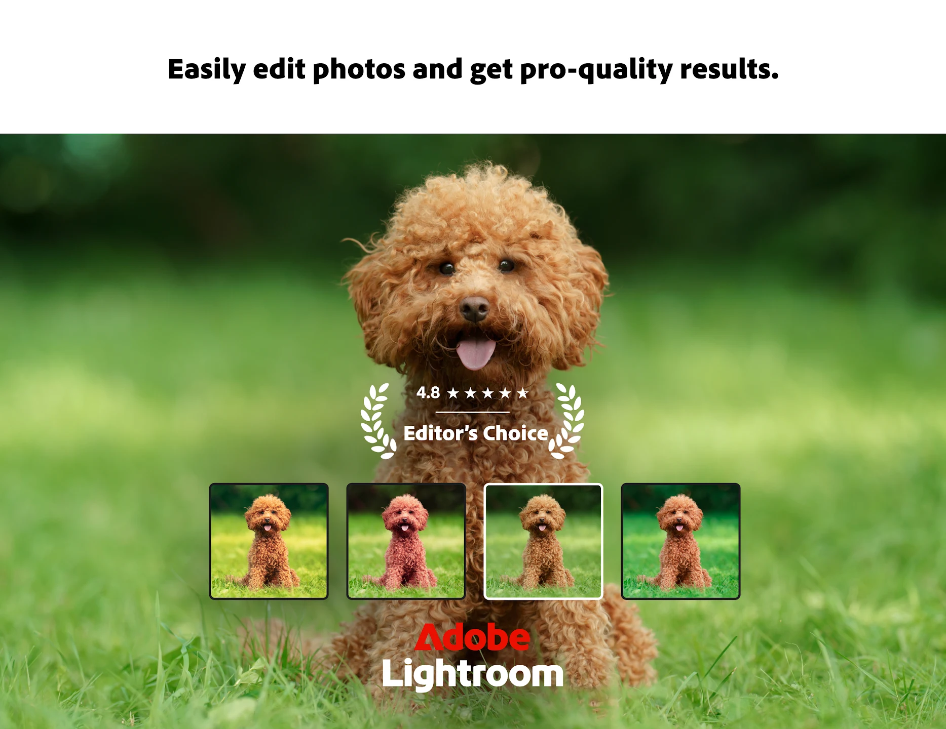 Lightroom Photo & Video Editor 截图 1