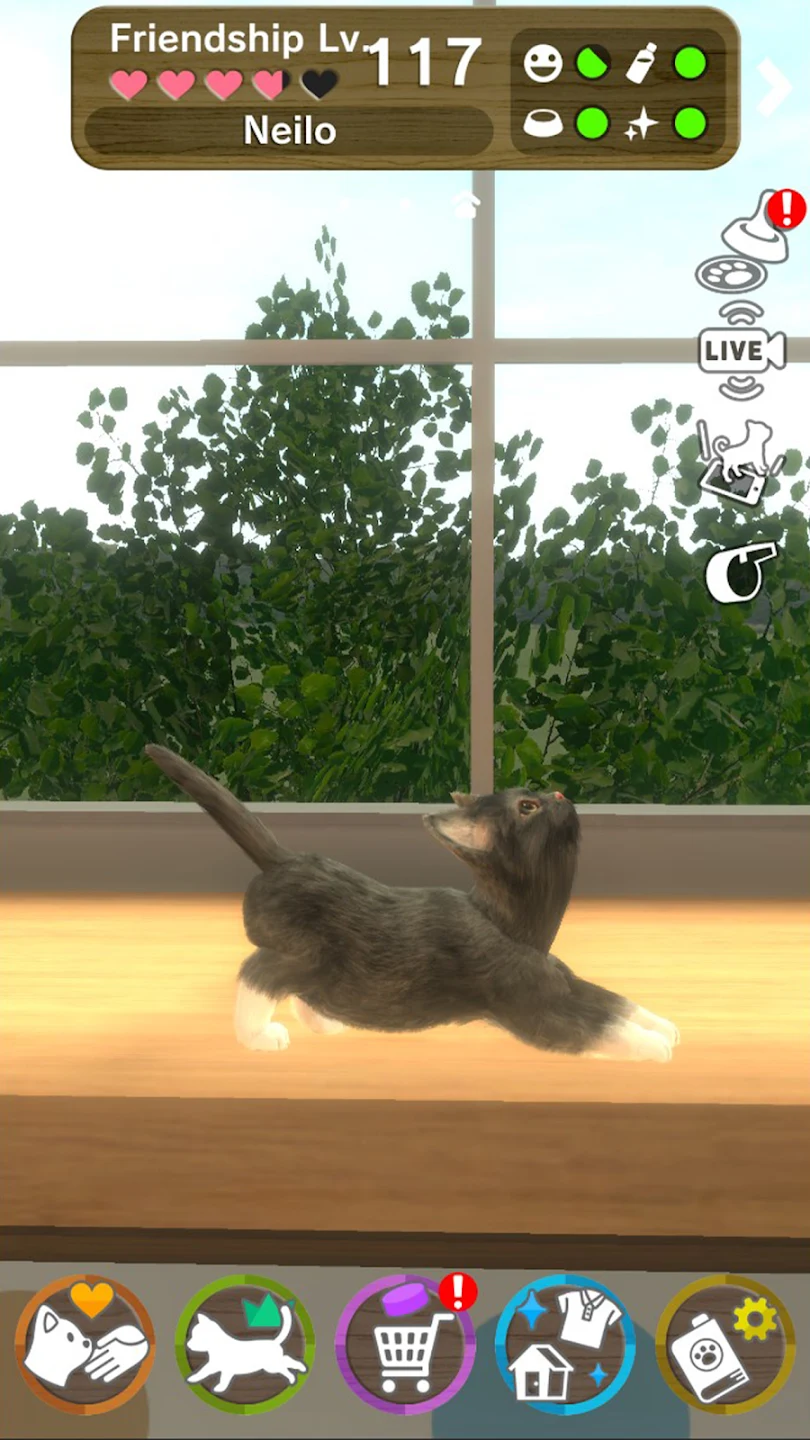 with My CAT 截图 8