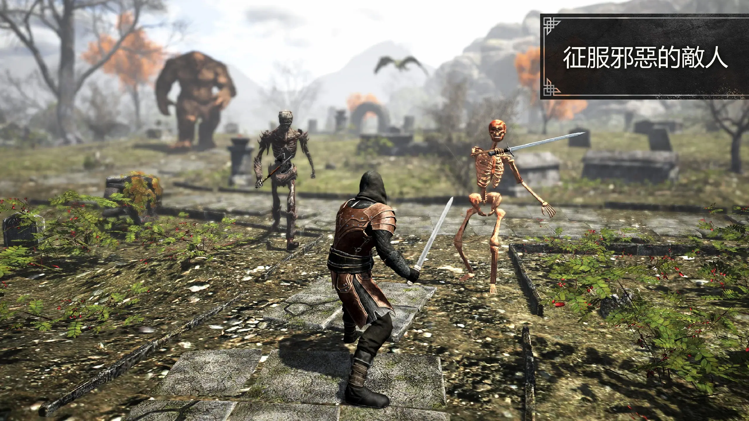 伊伏尔兰兹：魔法 MMORPG (Evil Lands) 截图 6