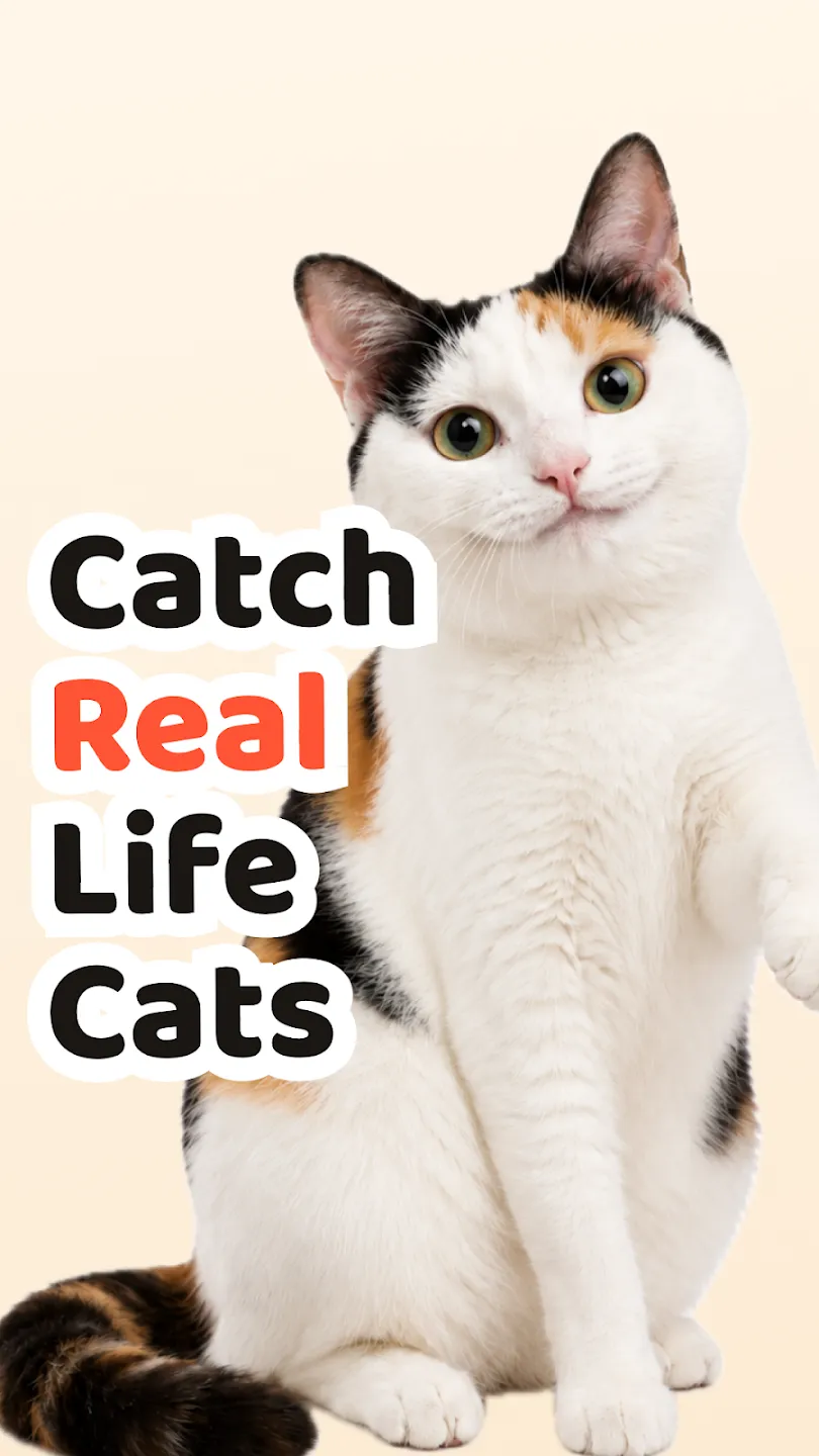 Cat Collector: Catch Real Cats 截图 1