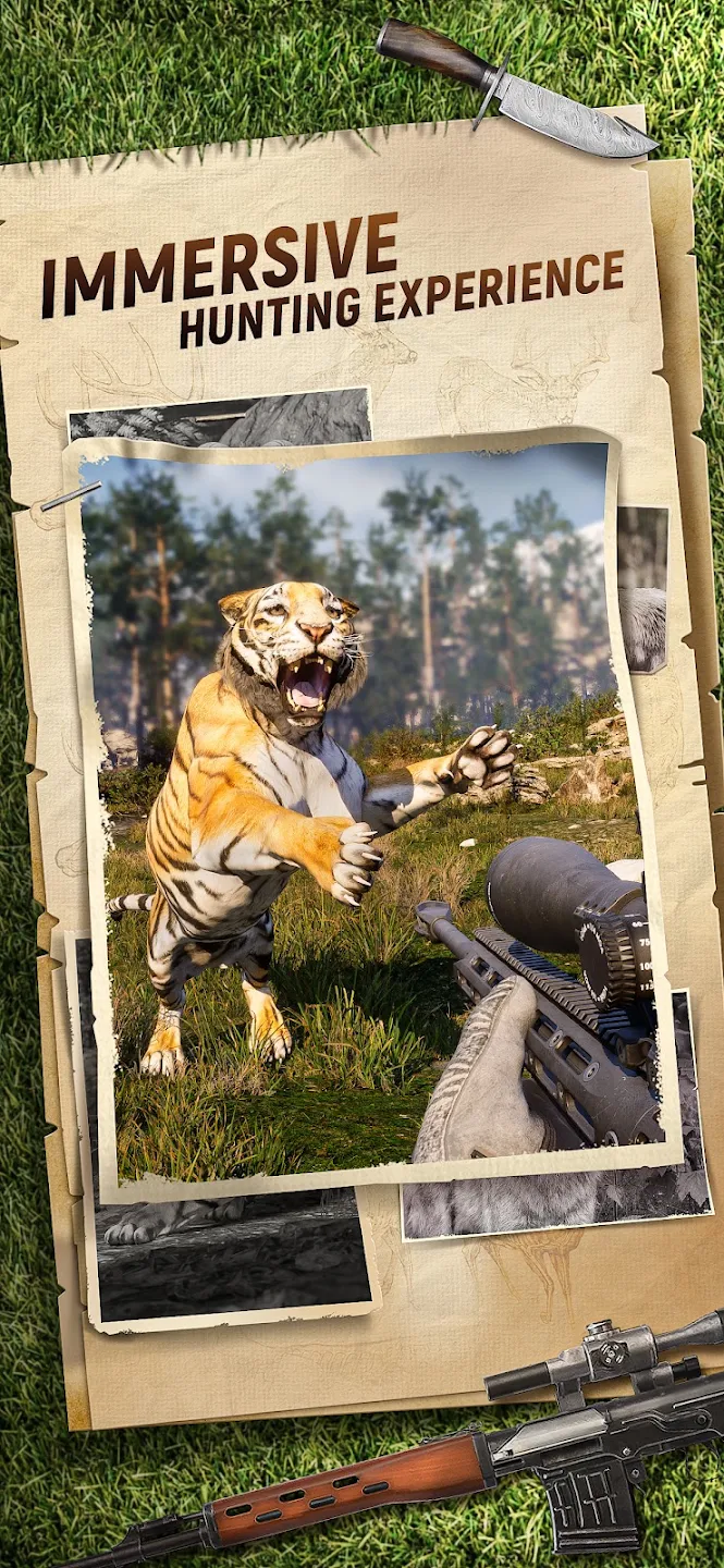 Hunting Sniper 截图 5
