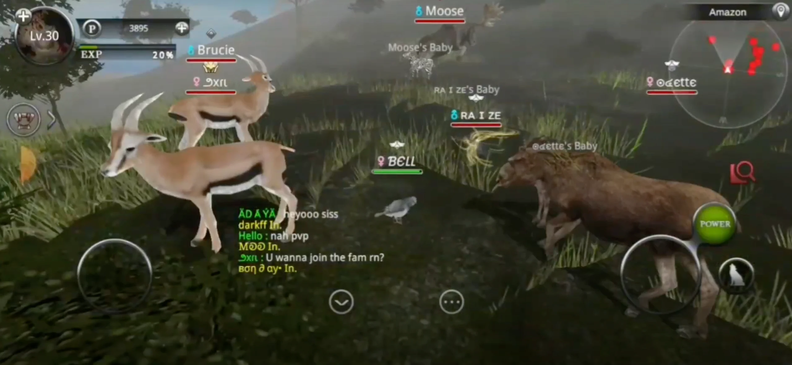 Wild Animals Online(WAO) 截图 3