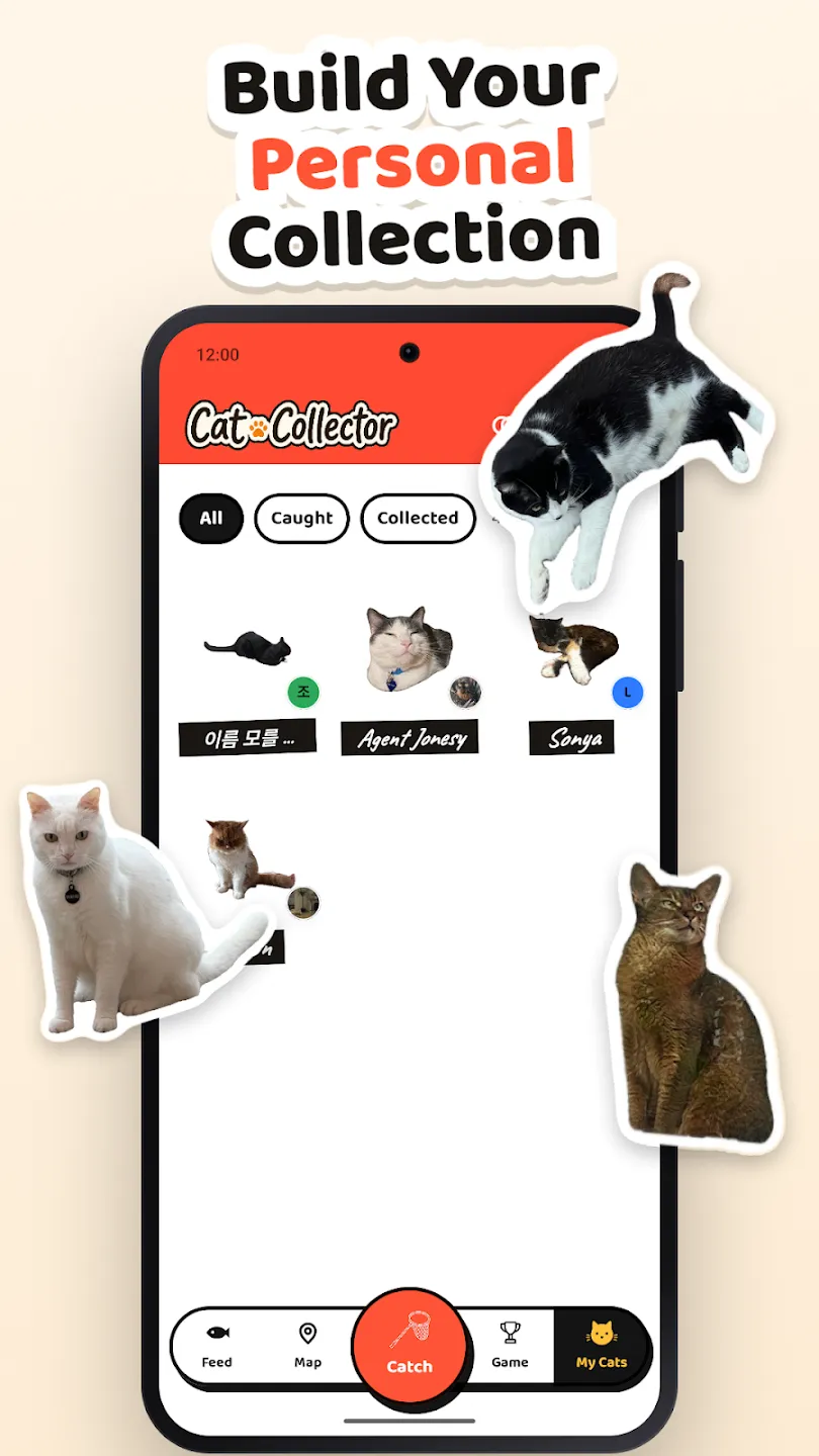 Cat Collector: Catch Real Cats 截图 4