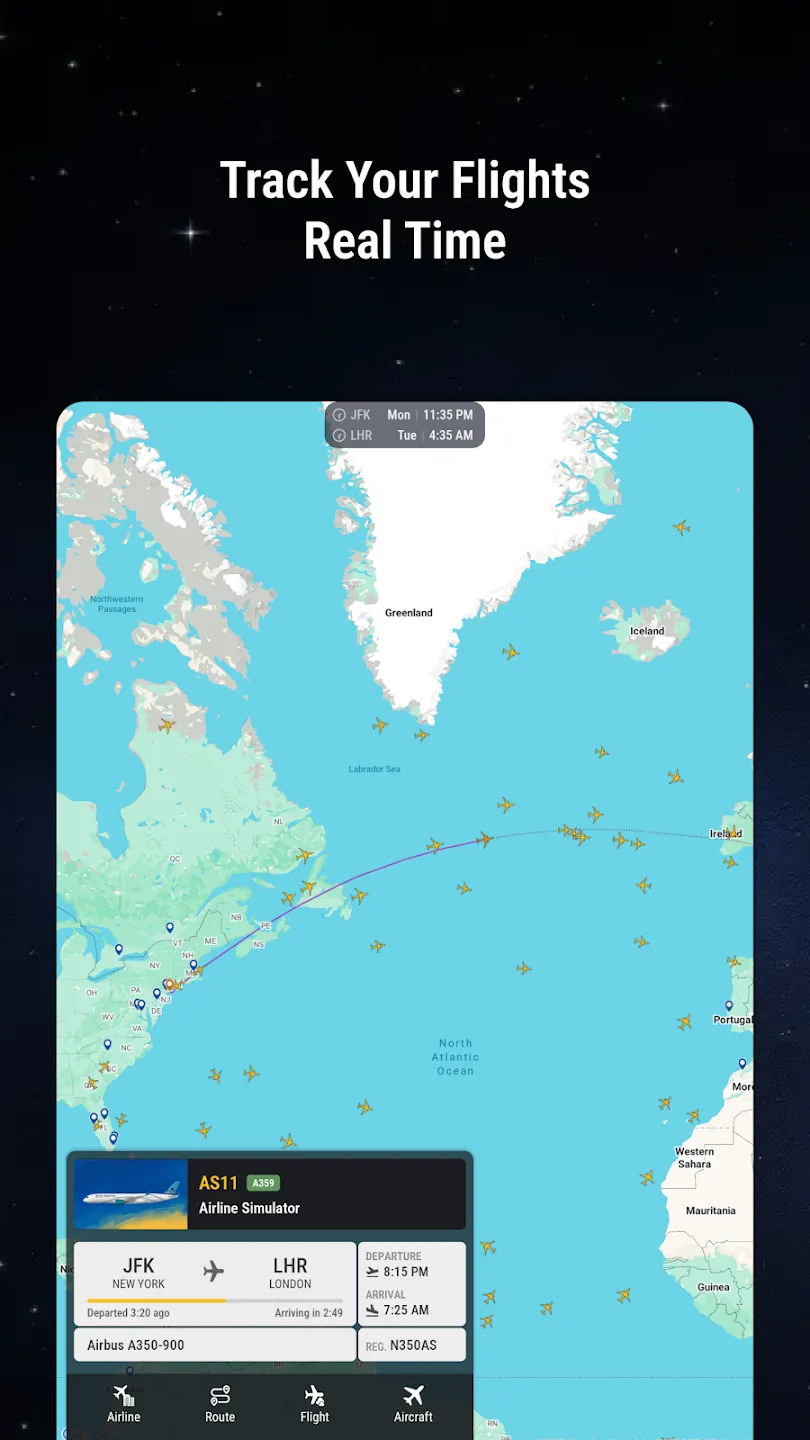 The Airline Simulator 截图 11
