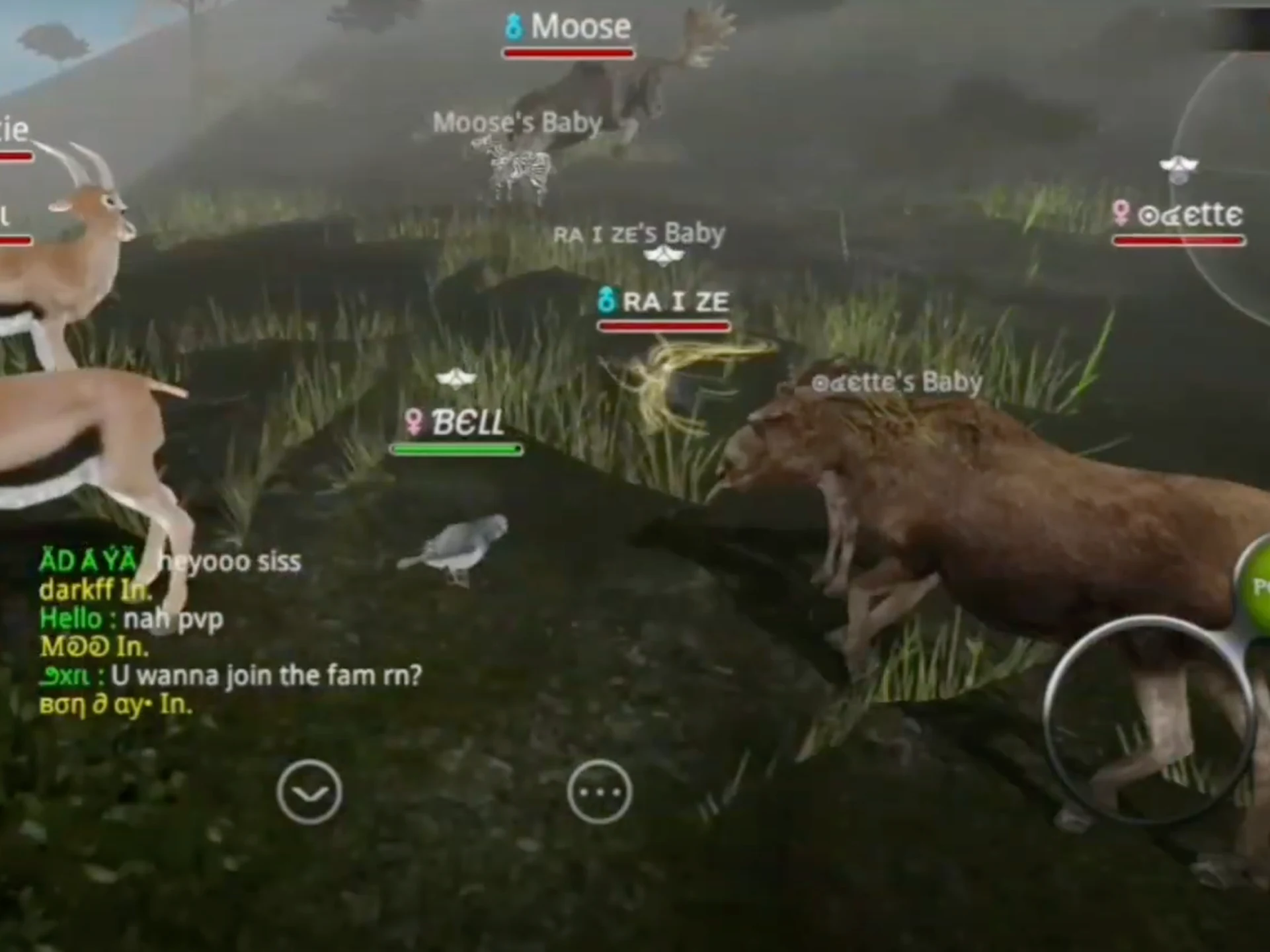 Wild Animals Online(WAO) 截图 8