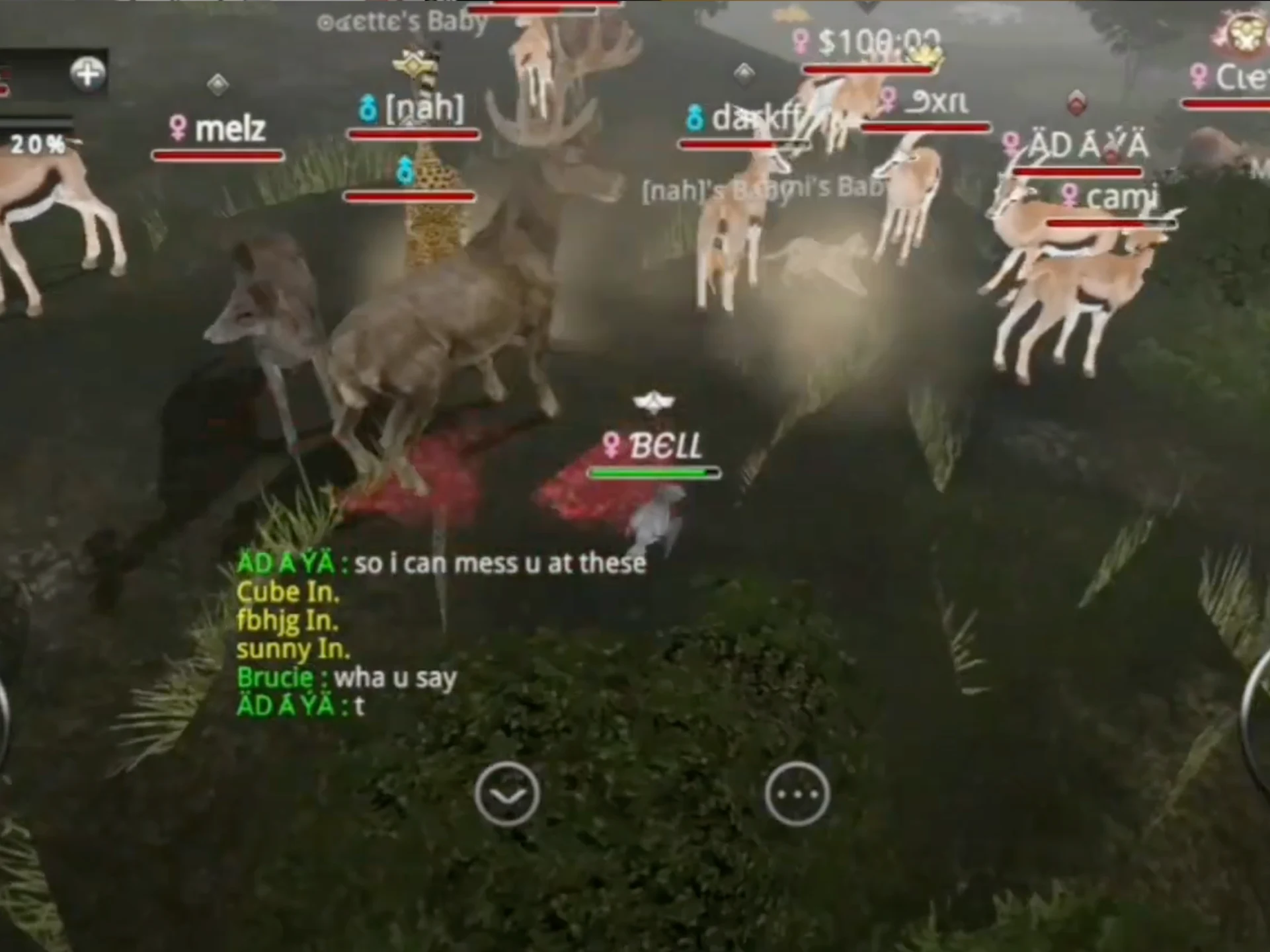 Wild Animals Online(WAO) 截图 7
