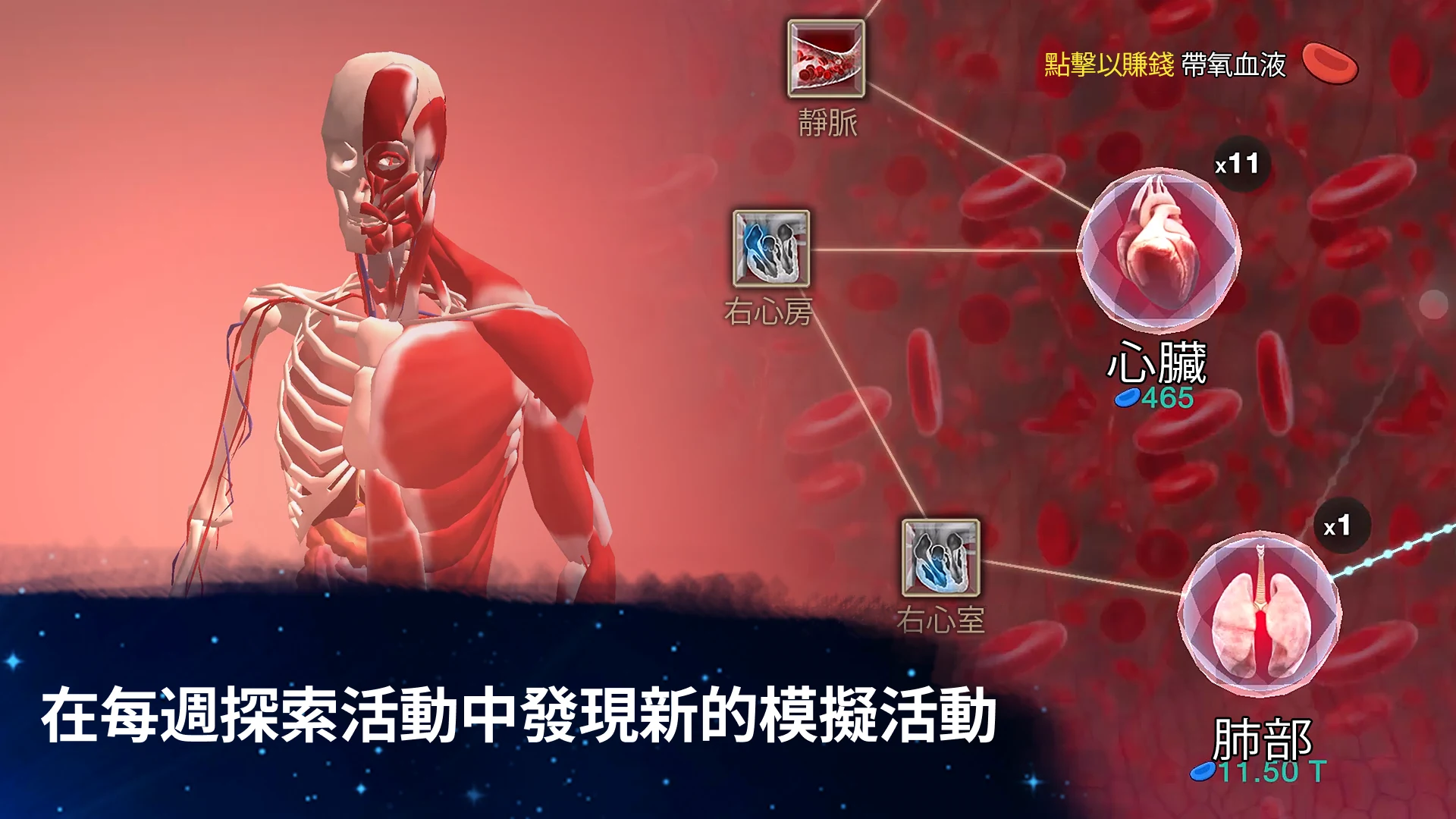 从细胞到奇点: 进化永无止境 截图 1