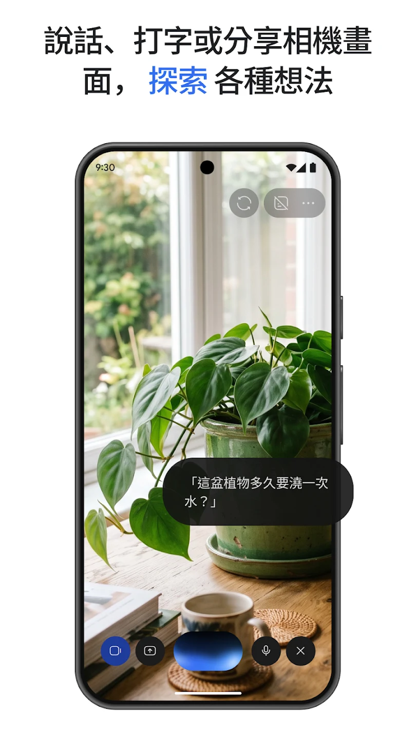 Google Gemini 截图 2
