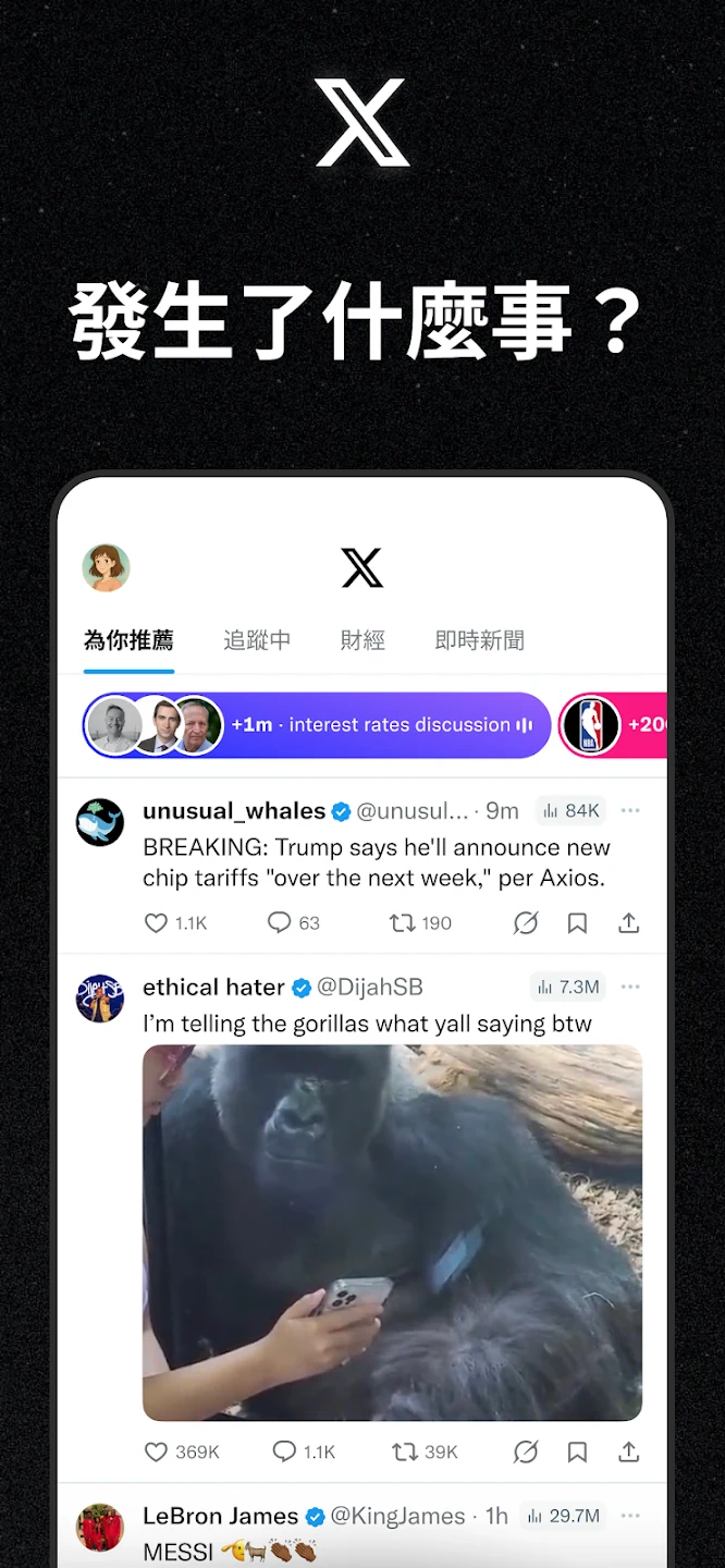 X 截图 1