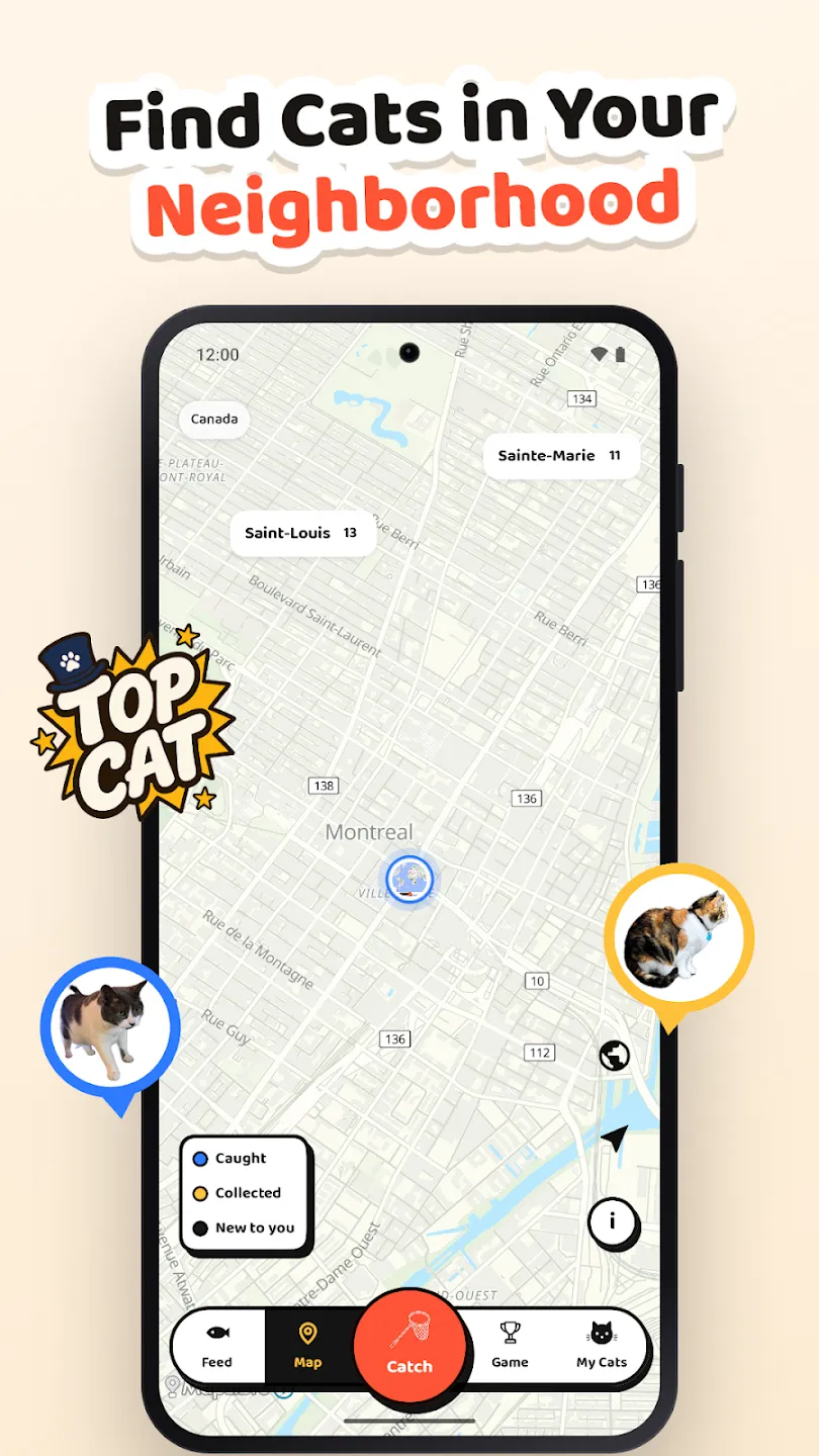 Cat Collector: Catch Real Cats 截图 3