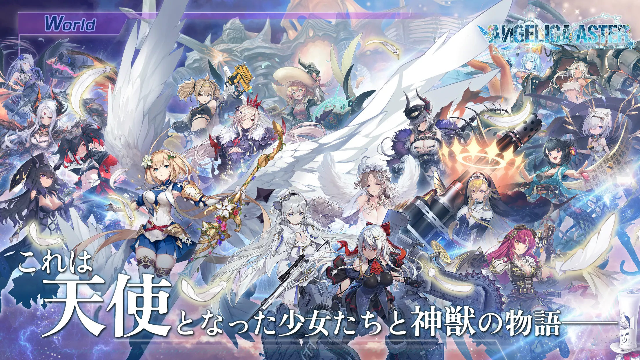 ANGELICA ASTER 截图 1