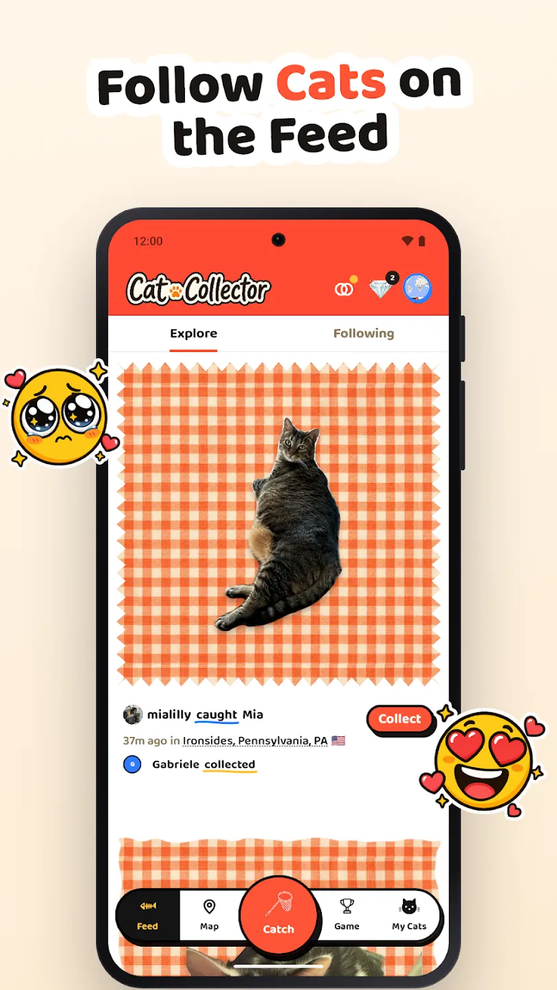 Cat Collector: Catch Real Cats 截图 6
