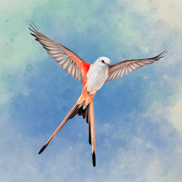 Wingspan (展翅翱翔) 图标